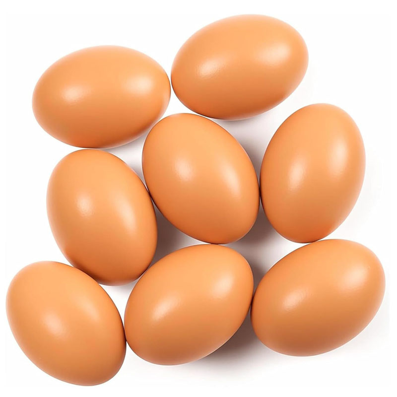 Œuf en bois pour poules pondeu - Baby Food With Chicken avis et prix