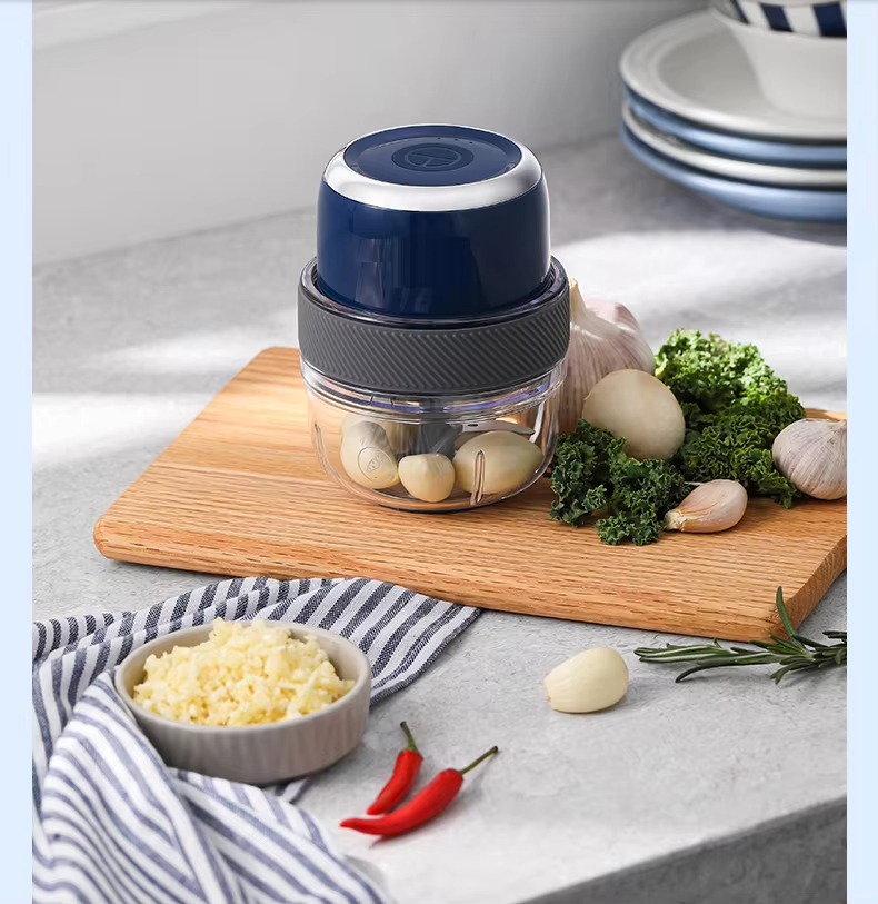 FirmHome Store Mixeur Bébé Rec - Baby Food Grinder Machine avis et prix
